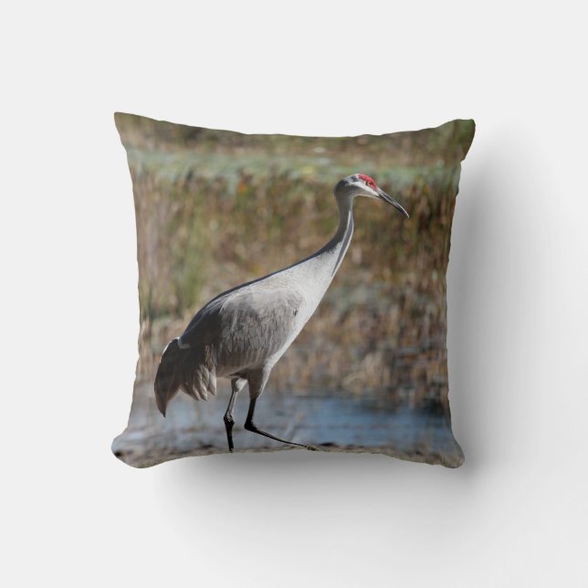 Sandhill Crane Cushion (Front)