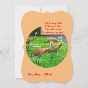 SANDHILL CRANE FAMILY/THANK YOU CARD Flat Card