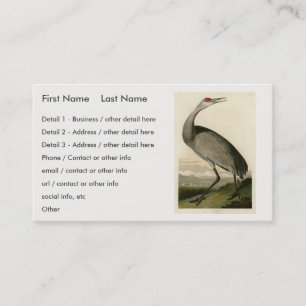 Sandhill Crane from Audubon's Birds of America Business Card