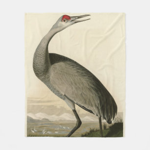 Sandhill Crane from Audubon's Birds of America Fleece Blanket