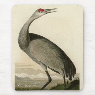 Sandhill Crane from Audubon's Birds of America Mouse Mat