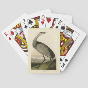 Sandhill Crane from Audubon's Birds of America Playing Cards