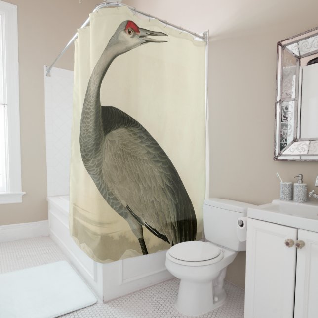 Sandhill Crane from Audubon's Birds of America Shower Curtain (In Situ)