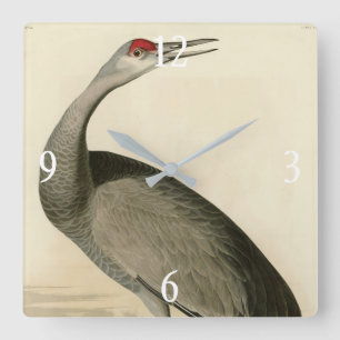 Sandhill Crane from Audubon's Birds of America Square Wall Clock