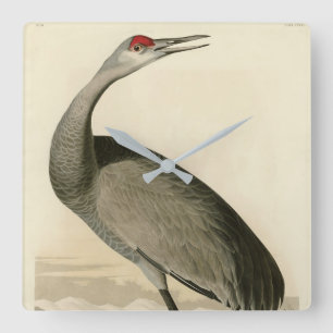 Sandhill Crane from Audubon's Birds of America Square Wall Clock