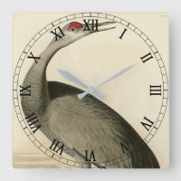 Sandhill Crane from Audubon's Birds of America