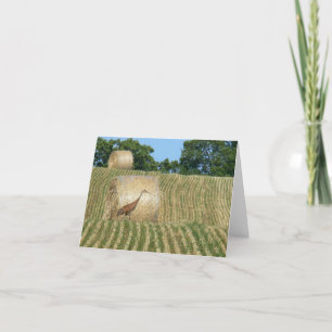 "SANDHILL CRANE LUMBERING ACROSS FARM FIELD CARD