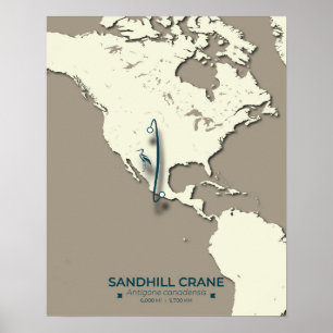 Sandhill Crane Migration Map – Minimalist Vintage  Poster