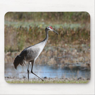Sandhill Crane Mouse Mat