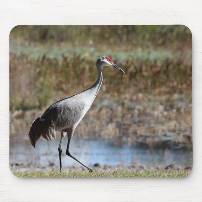 Sandhill Crane Mouse Mat (Front)