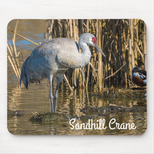 Sandhill Crane Mouse Mat (Front)