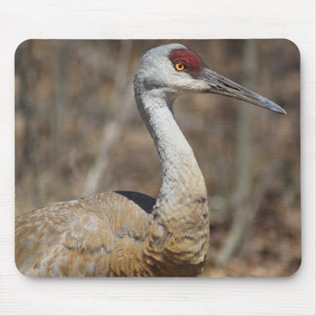 Sandhill Crane Mousepad (Front)