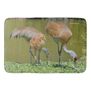 Sandhill Crane Parents and Chick Bath Mat