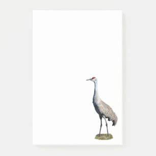 Sandhill Crane Photo 4x6 Notes