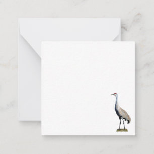 Sandhill Crane Photo Flat Note Card
