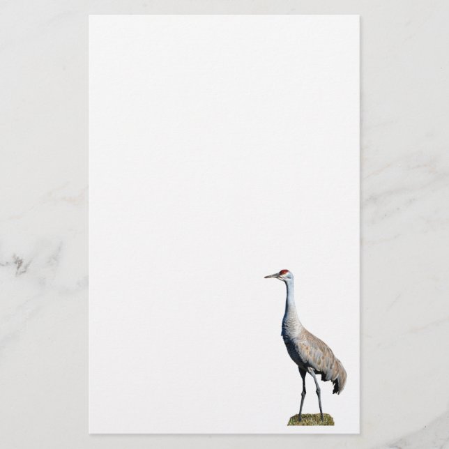 Sandhill Crane Photo Letterhead Paper (Front)