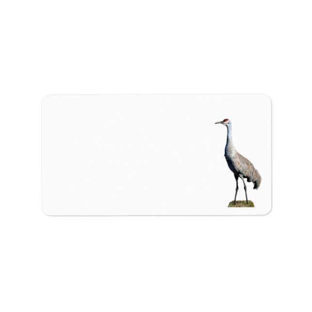 Sandhill Crane Photo Return Address Label (Front)