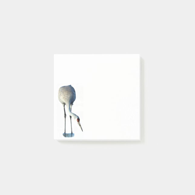 Sandhill Crane Photo Stationery 3x3 Post-it Notes (Front)