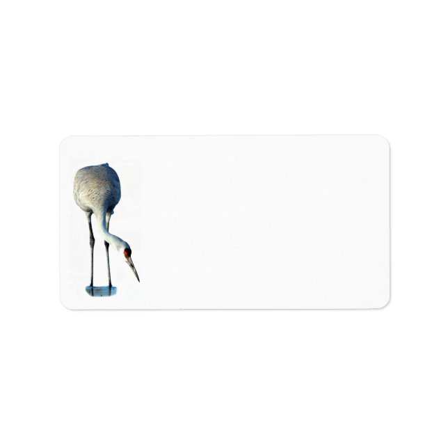 Sandhill Crane Photo Stationery Address Label (Front)