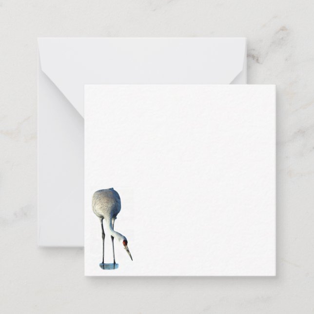 Sandhill Crane Photo Stationery Flat Note Cards (Front)