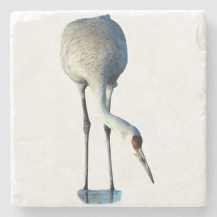 Sandhill Crane Photo Stone Coaster