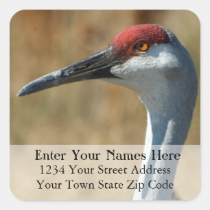 Sandhill Crane Return Address Label