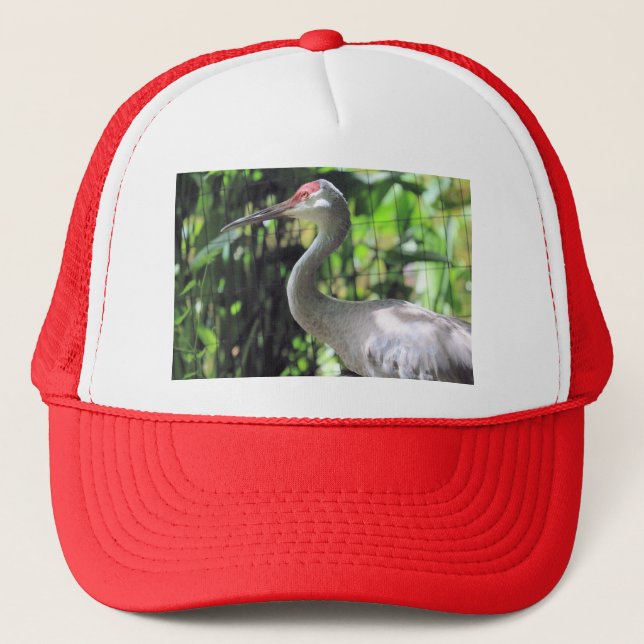 Sandhill crane   trucker hat (Front)