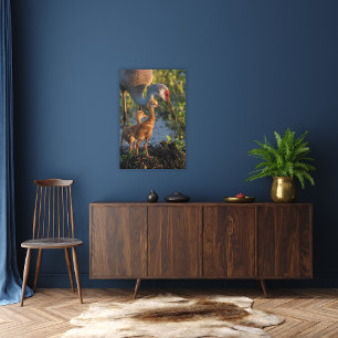 Sandhill crane with chicks, Florida Canvas Print