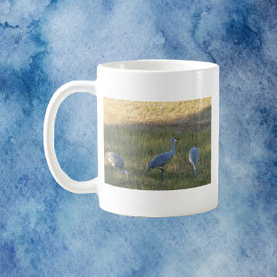 Sandhill Cranes Bird Grazing Photo Coffee Mug