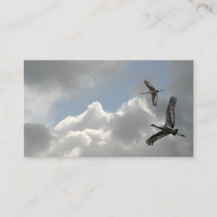 SANDHILL CRANES BUSINESS CARD