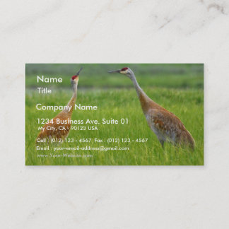 Sandhill Cranes Business Card