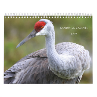 Sandhill Cranes Calendar 2017