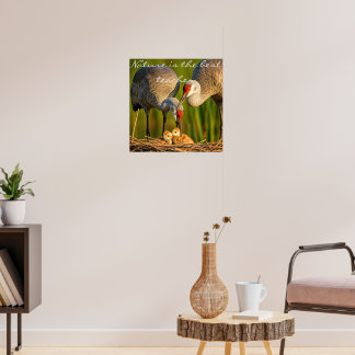  Sandhill Cranes Caring for Their Young" Wall Déco Poster
