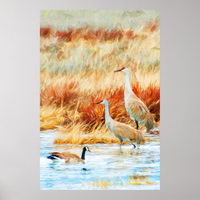 Sandhill Cranes & Goose Poster (Front)