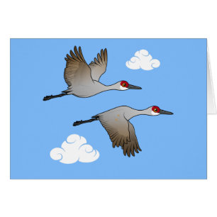 Sandhill Cranes in Flight