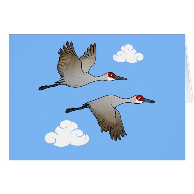 Sandhill Cranes in Flight (Front Horizontal)