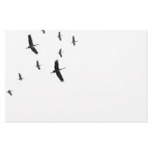 Sandhill Cranes in flight