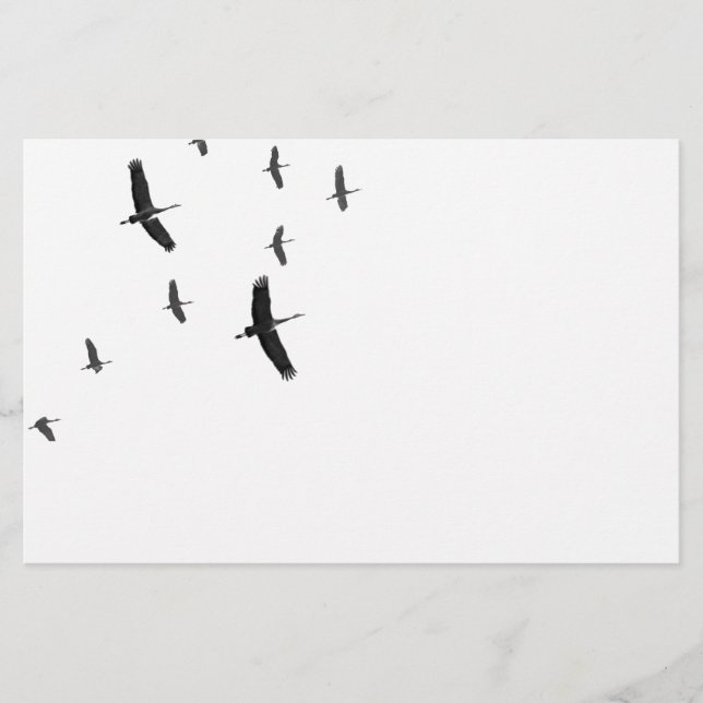Sandhill Cranes in flight Stationery (Front)