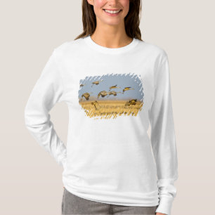 Sandhill cranes land in corn fields T-Shirt