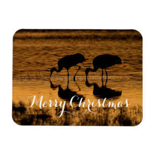 Sandhill Cranes, Merry Christmas Magnet