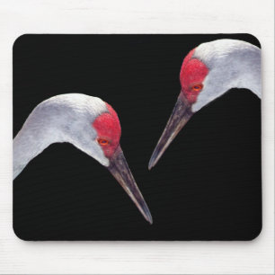 Sandhill Cranes Mouse Mat