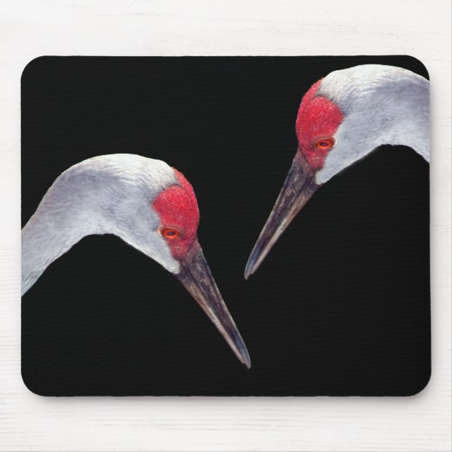 Sandhill Cranes Mouse Mat (Front)