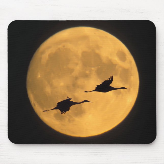 Sandhill Cranes | National Wildlife Reserve Mouse Mat (Front)