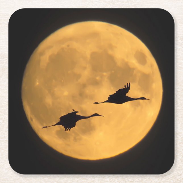 Sandhill Cranes | National Wildlife Reserve Square Paper Coaster (Front)