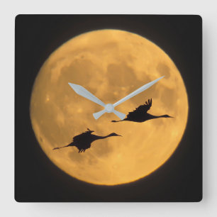 Sandhill Cranes   National Wildlife Reserve Square Wall Clock