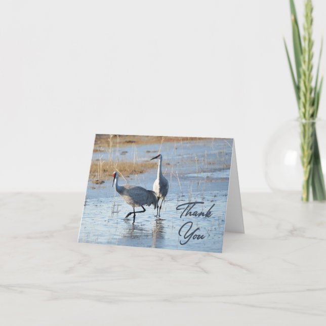 Sandhill Cranes Photo Thank You Card (Front)