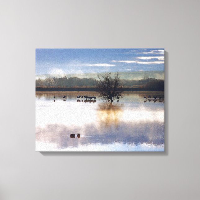 Sandhill Cranes Photography Stretched Print (Front)