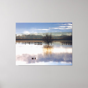 Sandhill Cranes Photography Stretched Print