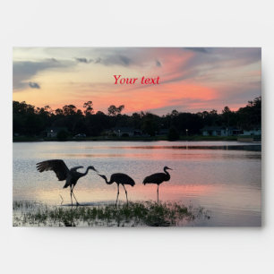 Sandhill cranes silhouette at sunset at the lake envelope