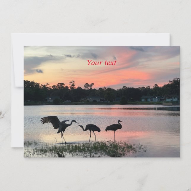 Sandhill cranes silhouette at sunset at the lake holiday card (Front)